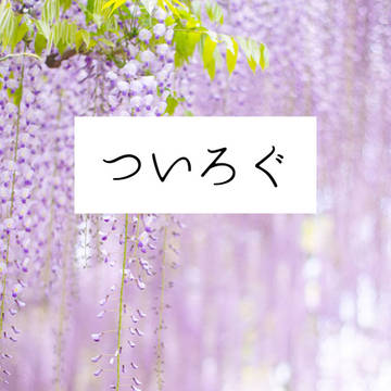 ついろぐ22