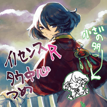 IRコンウェイ中心詰め(健全/ぬい有)