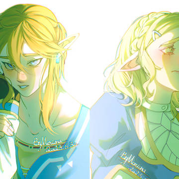 zelink
