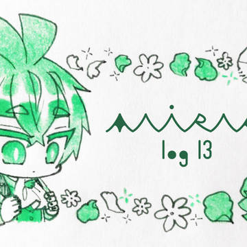 MIRM log13