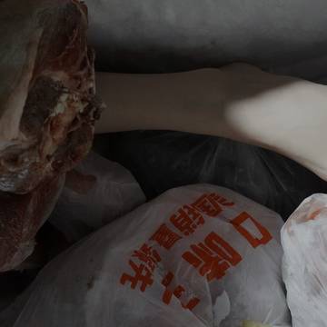 冰箱内那只41的断脚
