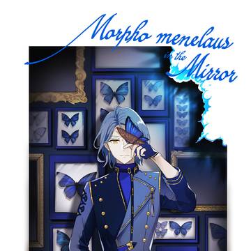 Morpho menelaus in the mirror