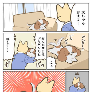 犬「もういい」