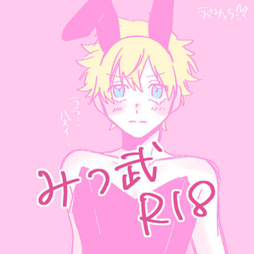 みつ武R18