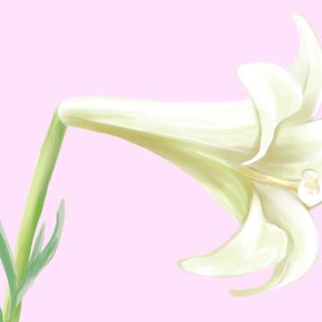 プロフィール用に描いた画像