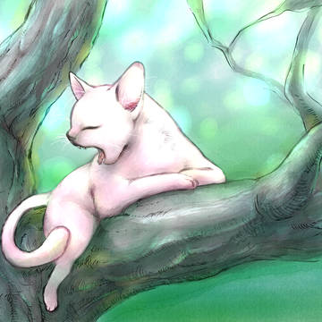ねこ
