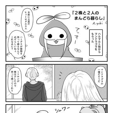 再録 マンドラダエウス合同誌