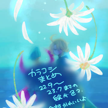 カラコシまとめ