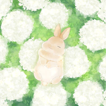 紫陽花のベッド