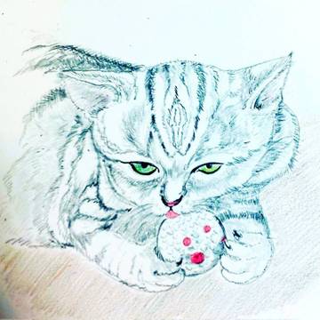猫ちゃん