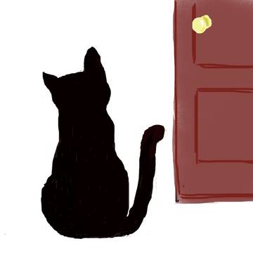 黒猫と白い世界