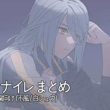 【腐】イナイレまとめ