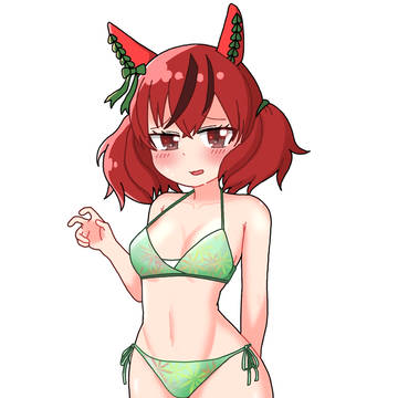 ナイスネイチャ 水着