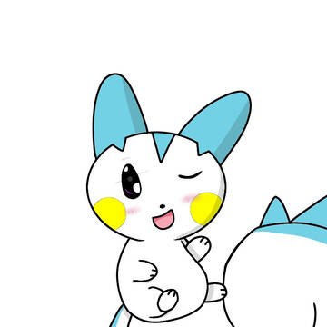 pachirisu