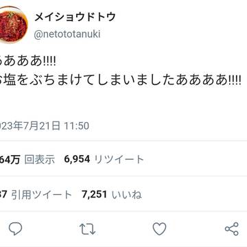 うっかりミスをしてしまったメイショウドトウ