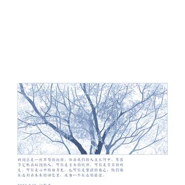 Page 13 thumbnail