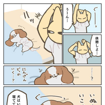 犬は寝てていいよ