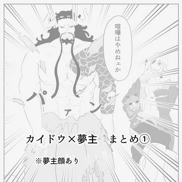 カイドウ×夢主   まとめ①