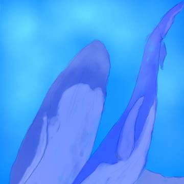 クジラの親子