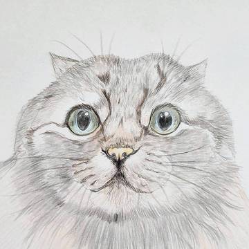ヌコ