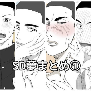 SD夢まとめ①