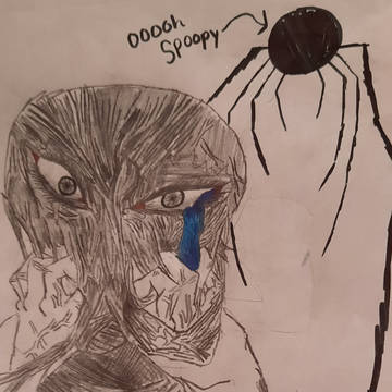 Stuck in a spider web