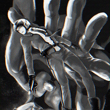 初代マンとハヤタ