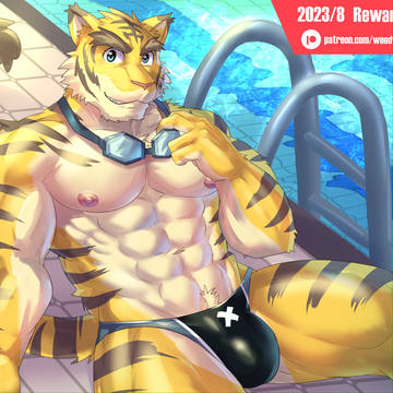 8月獎勵