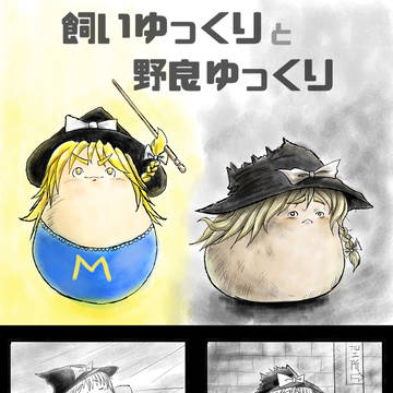 飼いゆっくりと野良ゆっくり