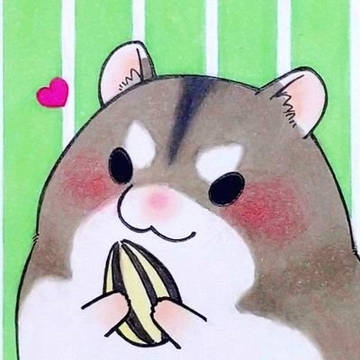 🌻🐹❤