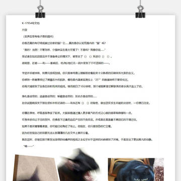 模因污染·猫