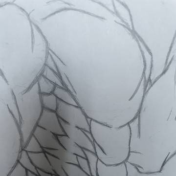 筋肉ラフ