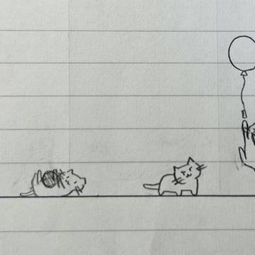 猫