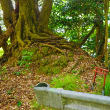 道の端にて