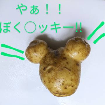畑の国から