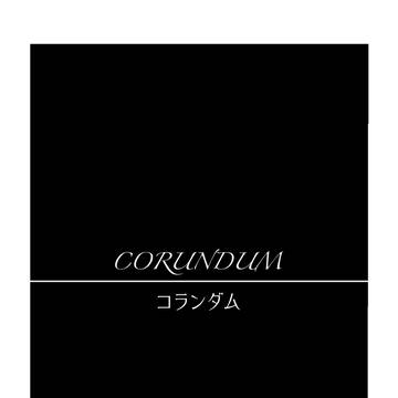 BOOTH頒布予定リゾプロ本「CORUNDUM」見本