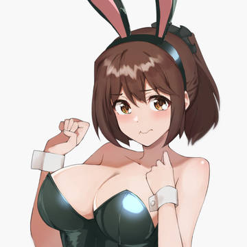 うちのこバニー