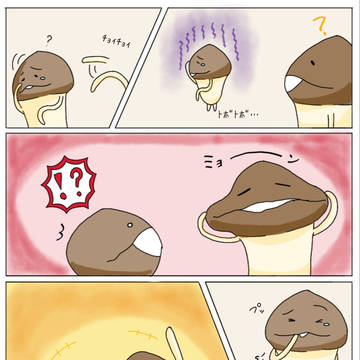 2023年3月〜6月