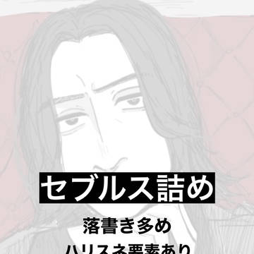 セブルス詰め2