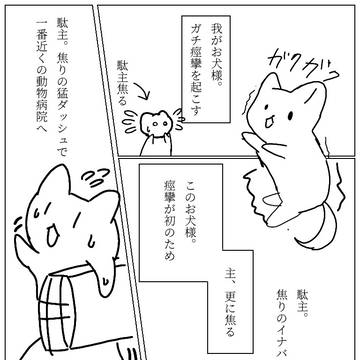 お犬様の最近。