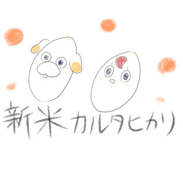 新米カルタヒカリ