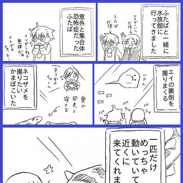 代理で水族館に行った話