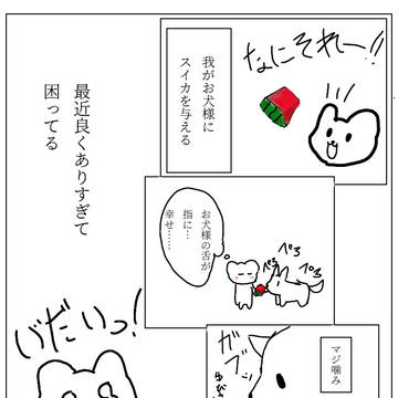 お犬様とスイカ。