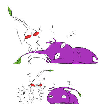 白と紫