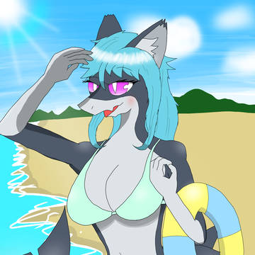 メスサメドラさん