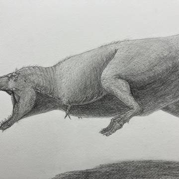 ティラノサウルス
