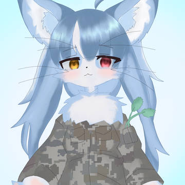 おまねこ