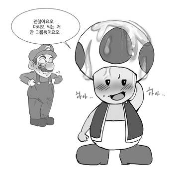 마리오와 키노피오