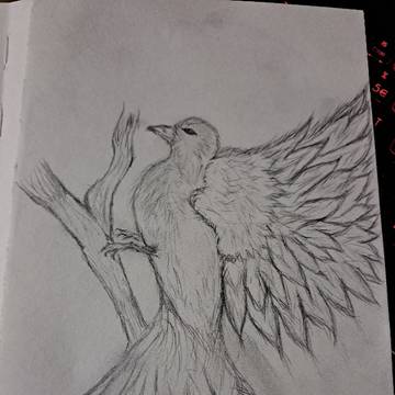 sketch no 11-edit