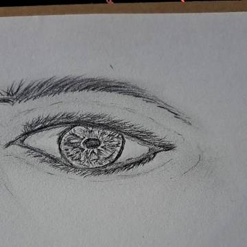 sketch no 13